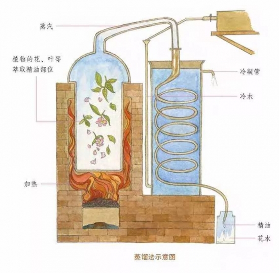 纯露是什么   纯露是不是真的能深层补水啊
