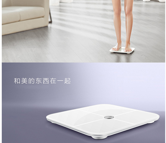 智能体重秤什么牌子好 这6大品牌为上上之选