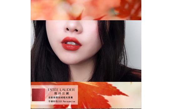 雅诗兰黛口红333试色 最好看的枫叶色没有之一