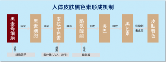 黑色素怎么去除 脸上的痘印不消原来是它在作怪