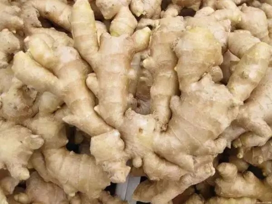 生姜美白祛斑的方法 敷一片生姜5分钟祛斑美白