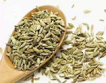 小茴香的功效和作用 闻一闻茴香抗失眠好