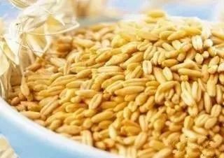 燕麦β葡聚糖的作用 燕麦中这个明星物质功效强