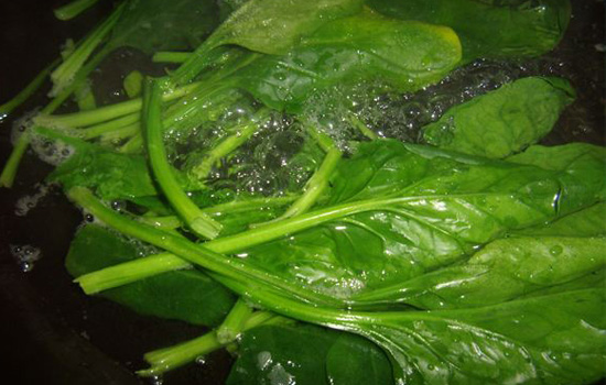 菠菜要焯水吗 菠菜焯水多久去除草酸
