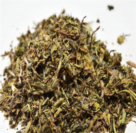 蒲公英的功效 清热解毒蒲公英药效介绍