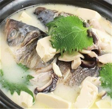 补脑鱼头汤的家常做法 鱼头汤食谱做法大全