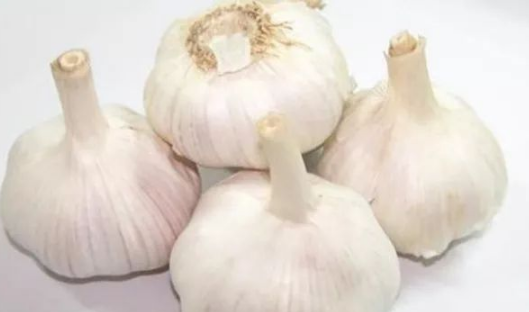 吃大蒜口臭怎么解决 吃蒜引起口臭的快速去味方法