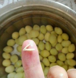 白果不去心能不能吃 白果怎么去芯