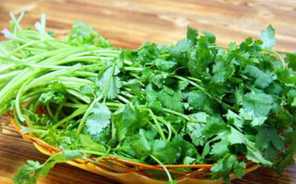 冬季吃香菜的好处 这类人冬天吃香菜要注意