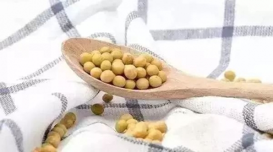 黄豆枕头的好处及做法 黄豆灌在枕头里好处多多
