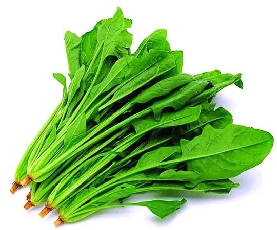 给肌肤补水吃什么好 多吃这些食物给肌肤补水