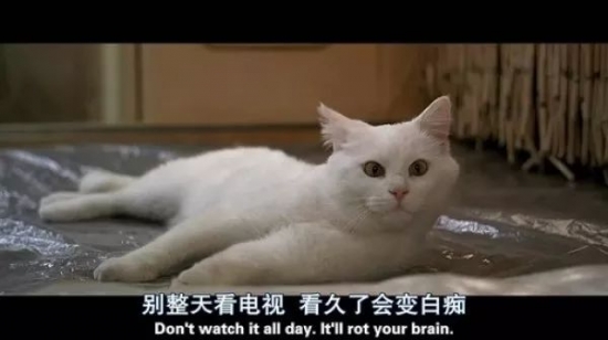 2025最火的短发造型 分分钟改变你的气场