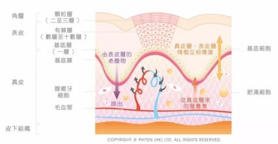 线雕提升能维持多久 线雕+玻尿酸，效果杠杠的！
