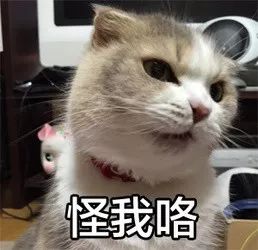 换季用什么面膜好 这十款闭着眼选都不踩雷