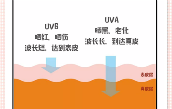 spf20能防几小时 spf和pa值怎么看又要如何选择呢