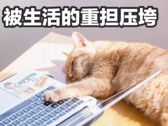 防晒产品哪款好用 选对防晒产品才能不晒黑呀