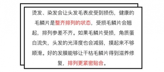 发膜哪种好 热门爆款就一定适合你吗