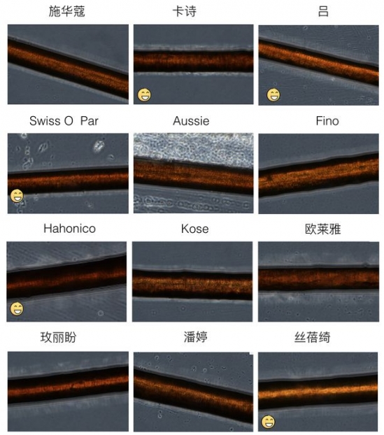 发膜哪种好 热门爆款就一定适合你吗