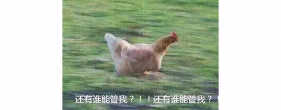 德美乐嘉多维面膜好用吗
