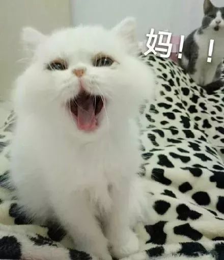 好闻好用的沐浴露推荐