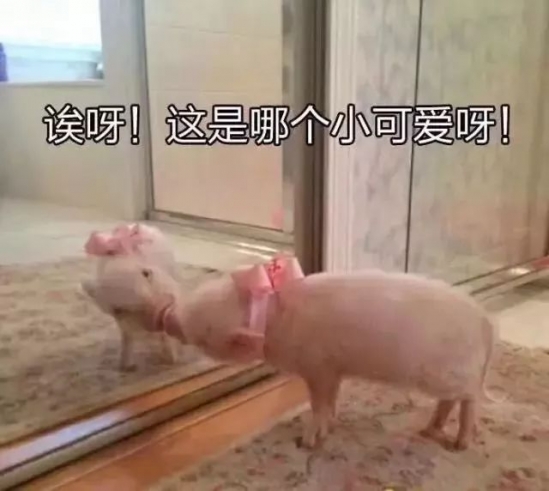 国产护肤品排行榜前十名
