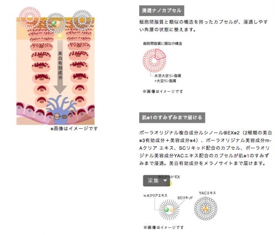 cosme大赏2025