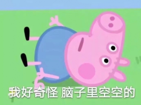 什么隔离好用性价比高