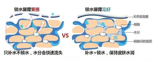 皮肤补水多了会怎么样