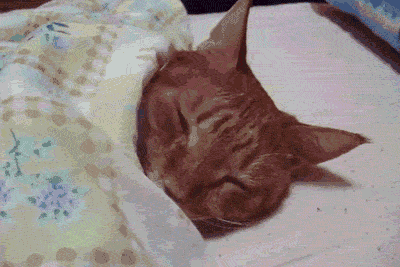 半永久纹眉 半永久纹唇