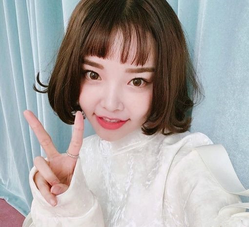 发型女2025 2025女发型图片