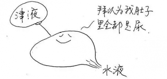 人体各器官工作时间表