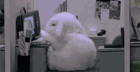 熬夜失眠了要补觉吗