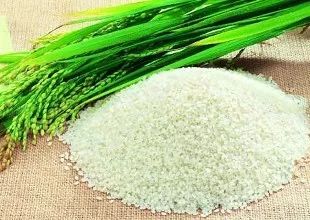 大米应该怎么挑