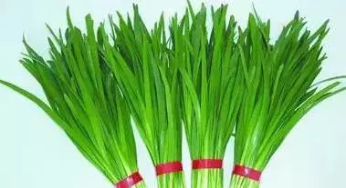 多吃韭菜有什么好处