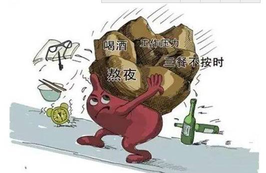 肝脏不好的症状
