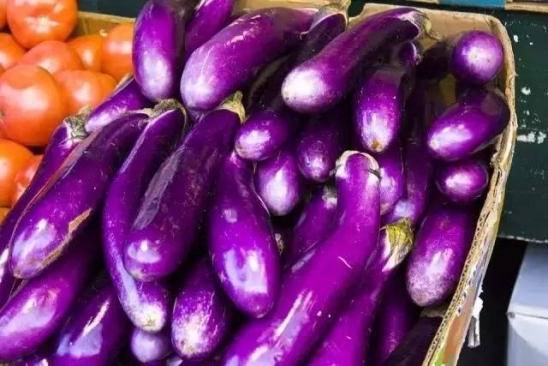 蔬菜的保质期