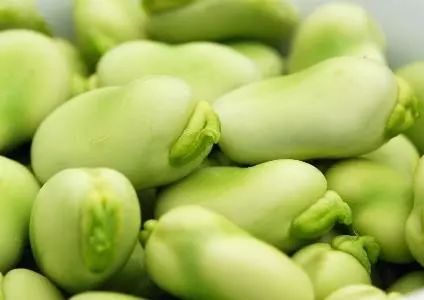 蚕豆食谱做法大全集