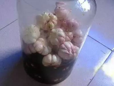 糖蒜的腌制方法