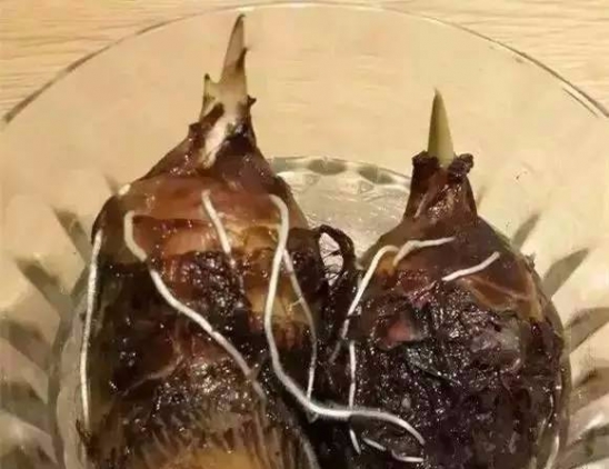 吃不完的蔬菜有什么用处