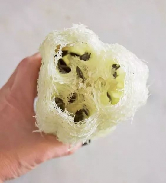 蔬菜渣的用途