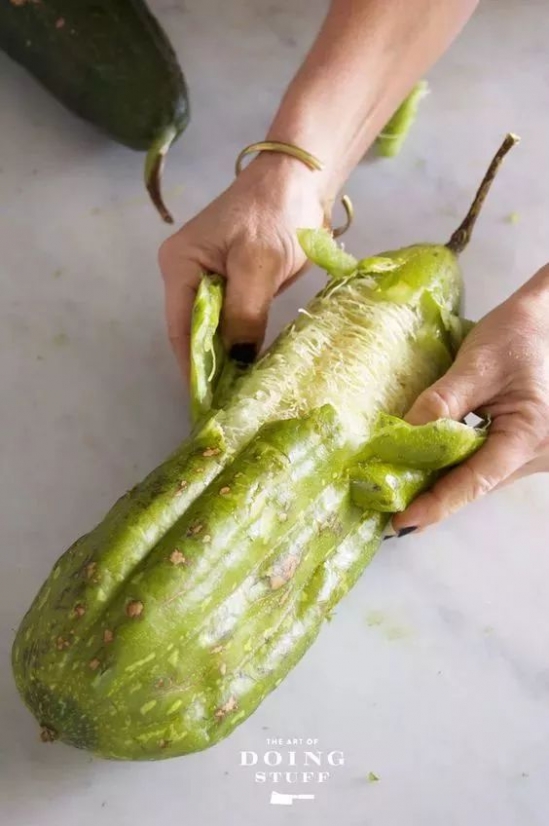 蔬菜渣的用途