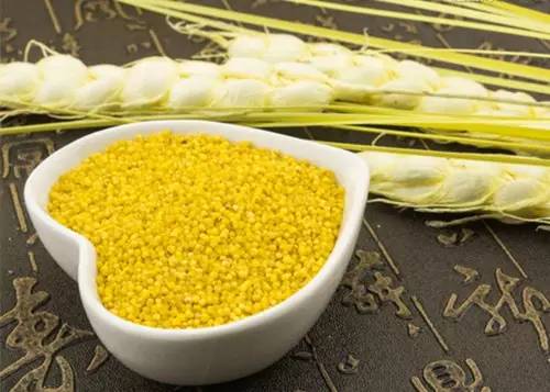 小米营养价值及饮食禁忌