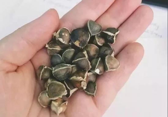 降血压的好方法