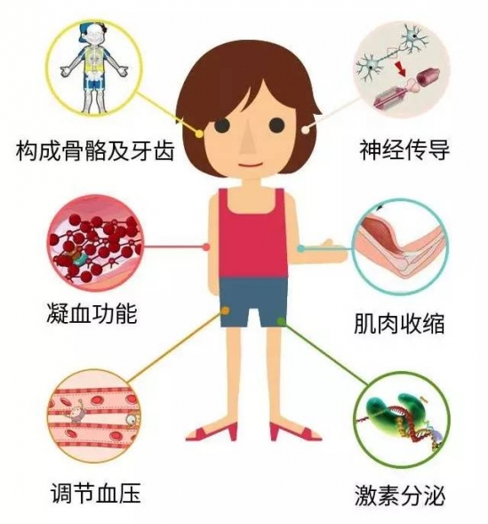 吃乳钙的好处