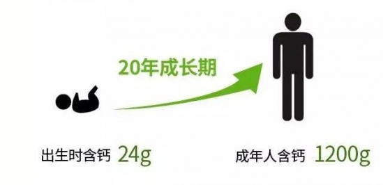 吃乳钙的好处