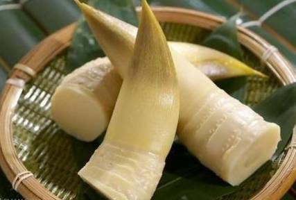 冬笋营养价值及做法
