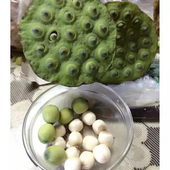 什么食物有丰胸功效