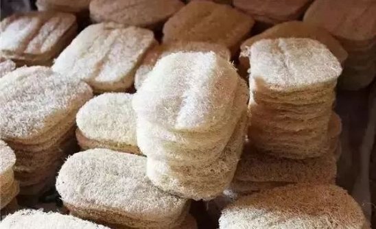 丝瓜络的功效及作用