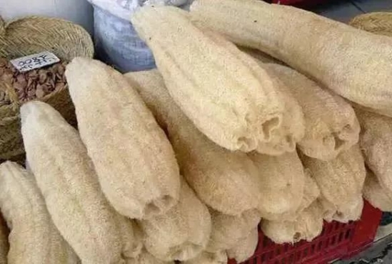 丝瓜络的功效及作用