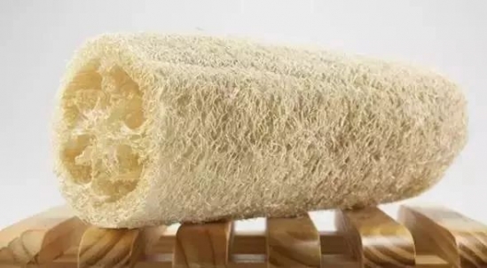 丝瓜络的功效及作用